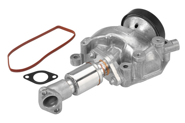 BorgWarner (Wahler) AGR-Ventil