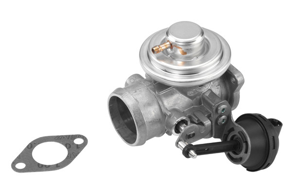 BorgWarner (Wahler) AGR-Ventil BorgWarner (Wahler) AGR-Ventil
