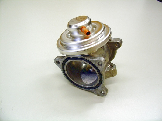 BorgWarner (Wahler) AGR-Ventil