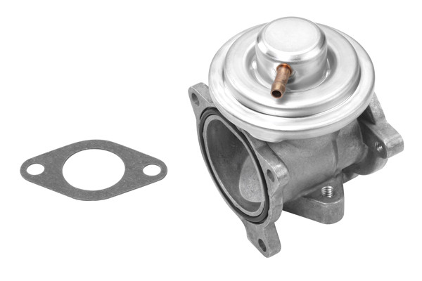 BorgWarner (Wahler) AGR-Ventil