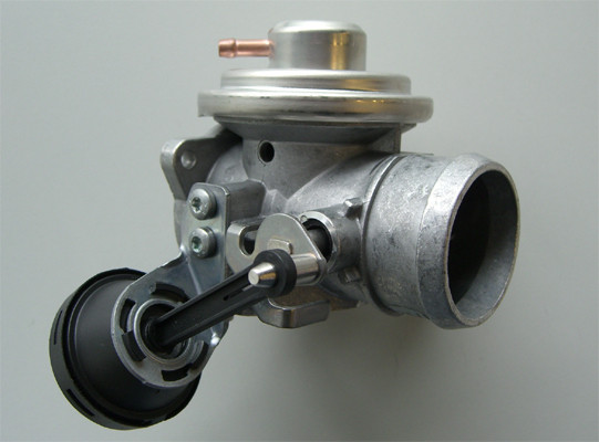 BorgWarner (Wahler) AGR-Ventil