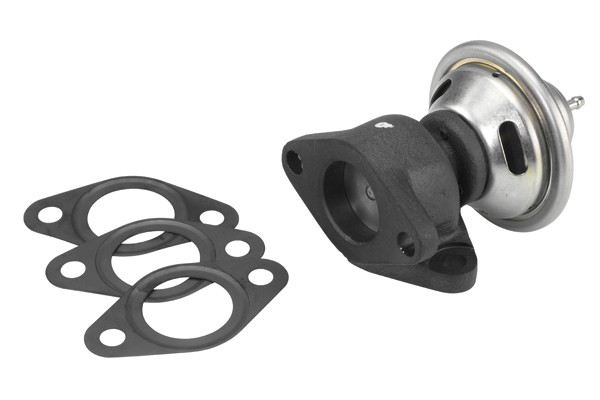 BorgWarner (Wahler) AGR-Ventil