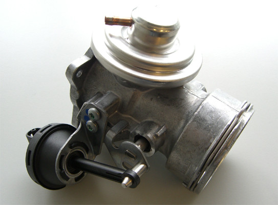 BorgWarner (Wahler) AGR-Ventil