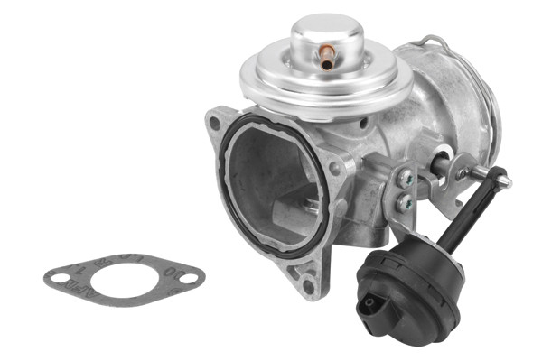 BorgWarner (Wahler) AGR-Ventil