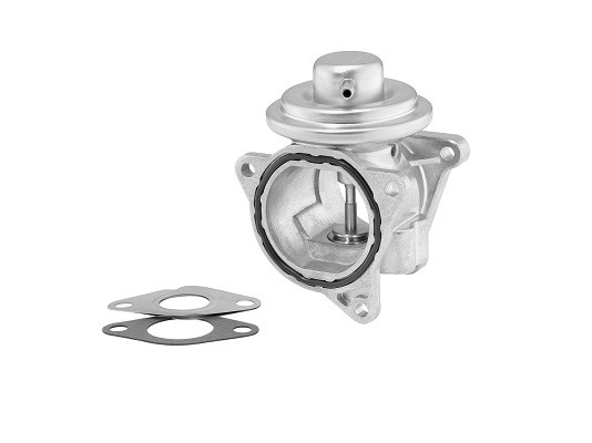 BorgWarner (Wahler) AGR-Ventil