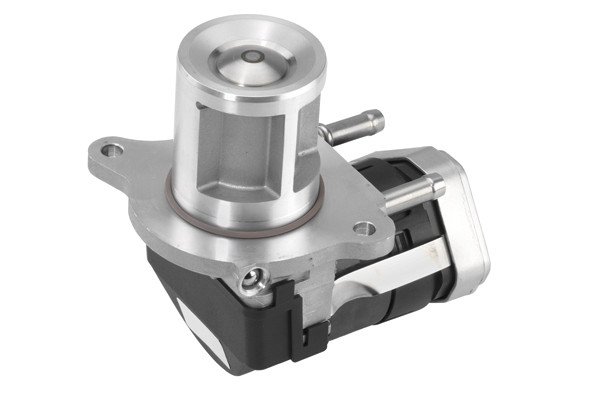 BorgWarner (Wahler) AGR-Ventil