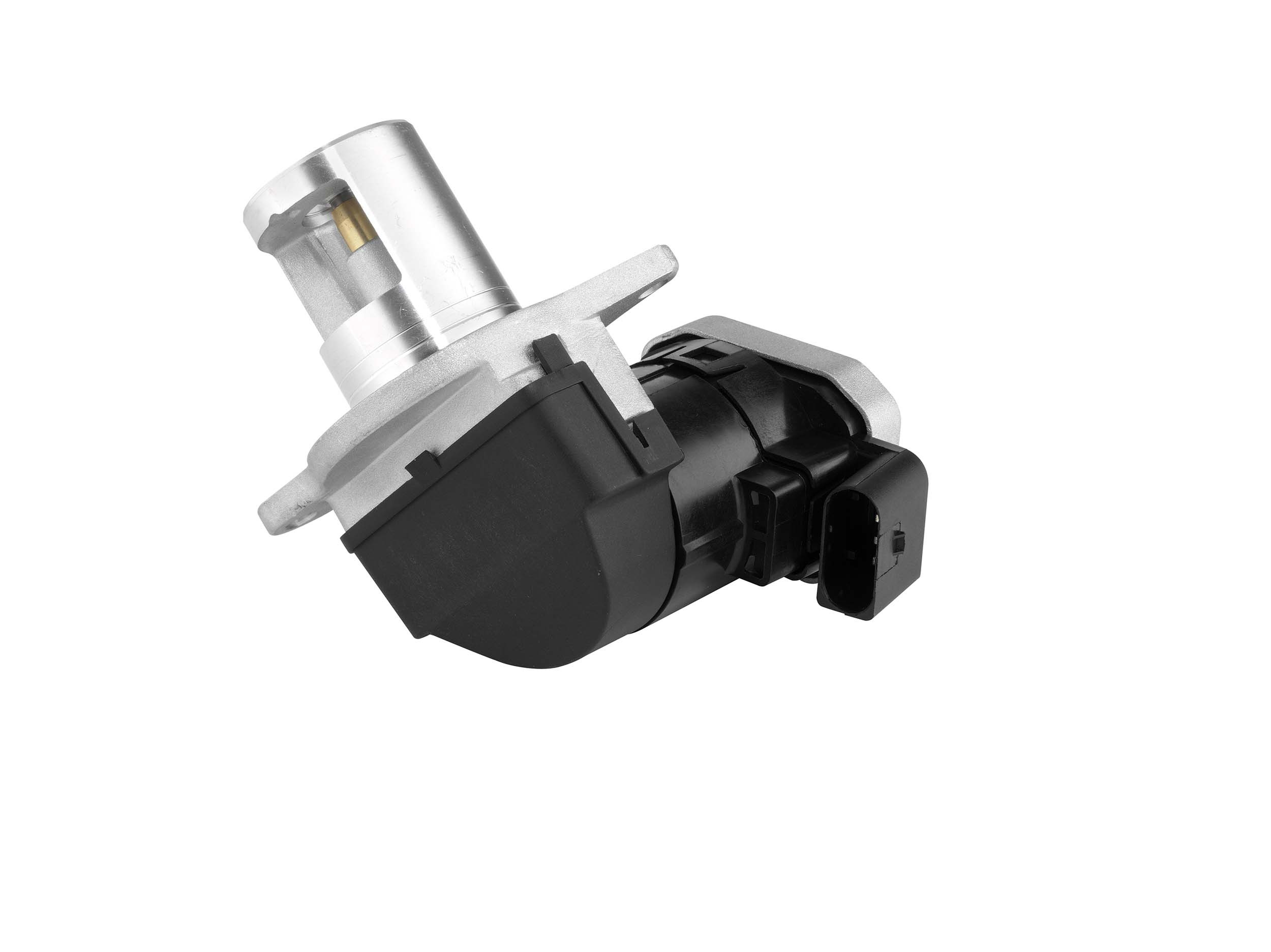 BorgWarner (Wahler) AGR-Ventil