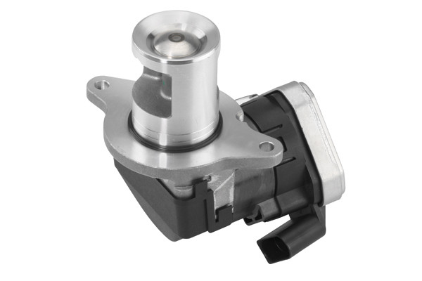 BorgWarner (Wahler) AGR-Ventil