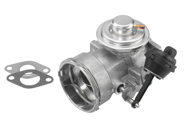 BorgWarner (Wahler) AGR-Ventil
