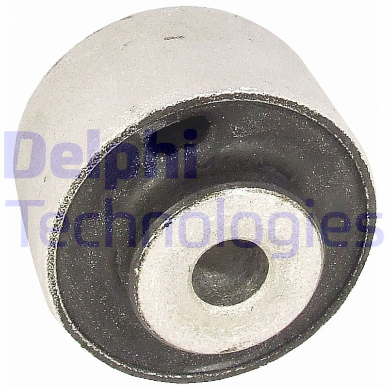 DELPHI Lagerung, Lenker