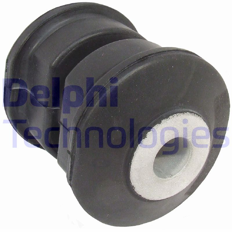 DELPHI Lagerung, Blattfeder