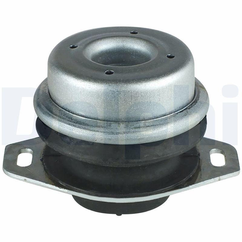 DELPHI Lagerung, Motor