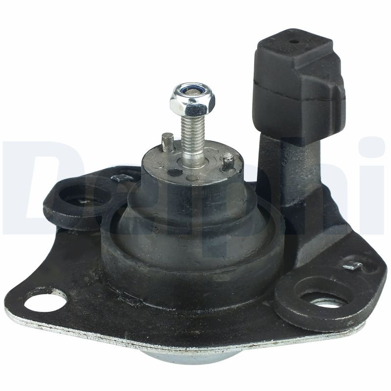 DELPHI Lagerung, Motor