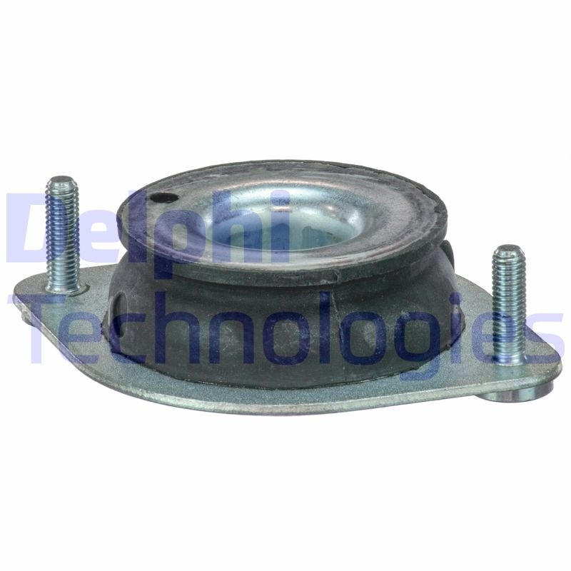 DELPHI Lagerung, Motor