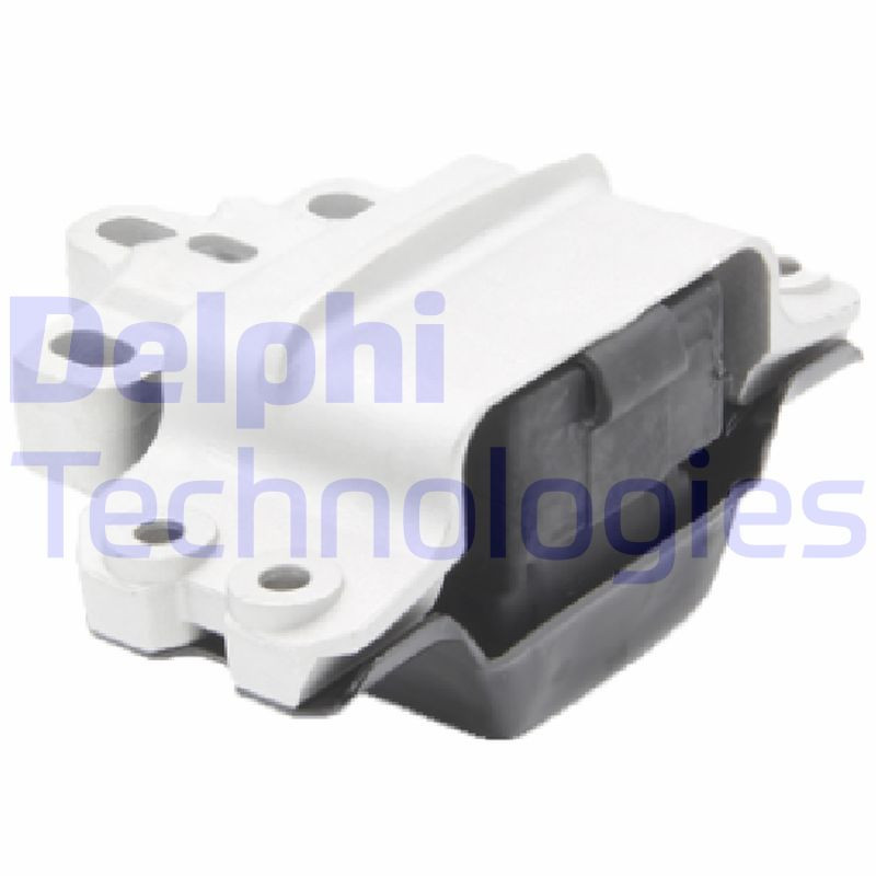 DELPHI Lagerung, Motor