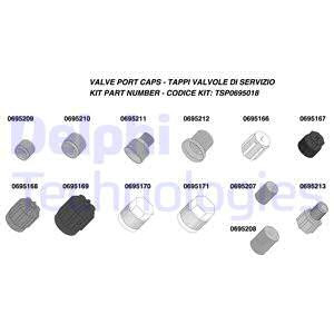 DELPHI Abdeckkappe, Serviceventil