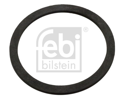 FEBI BILSTEIN Dichtring, Verschlussdeckel-Ausgleichsbehälter