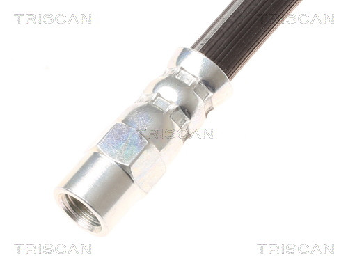 TRISCAN Bremsschlauch