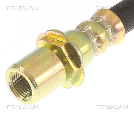 TRISCAN Bremsschlauch