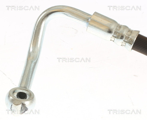 TRISCAN Bremsschlauch
