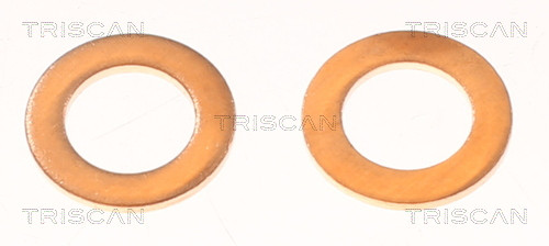 TRISCAN Bremsschlauch