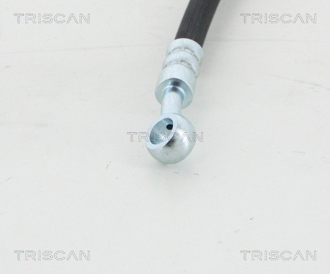 TRISCAN Bremsschlauch