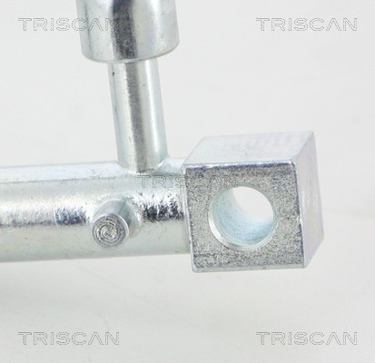TRISCAN Bremsschlauch