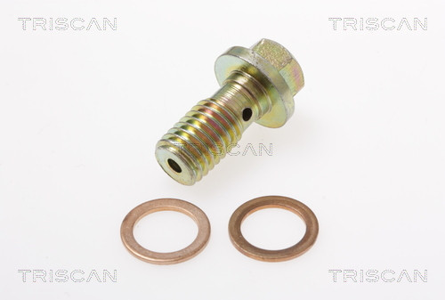 TRISCAN Bremsschlauch