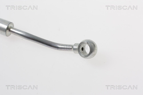 TRISCAN Bremsschlauch