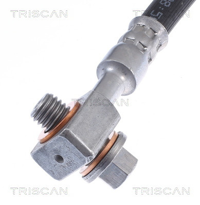 TRISCAN Bremsschlauch