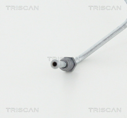 TRISCAN Bremsschlauch