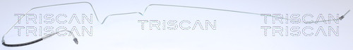 TRISCAN Bremsschlauch