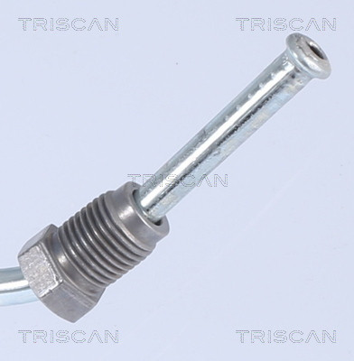 TRISCAN Bremsschlauch