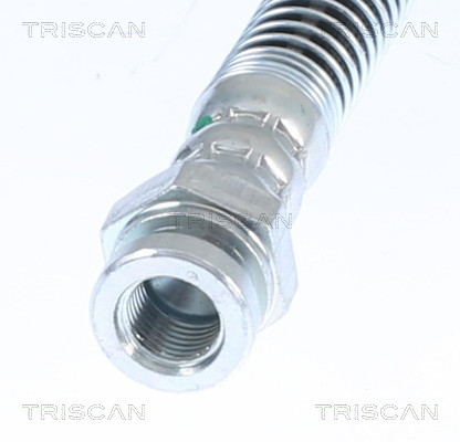 TRISCAN Bremsschlauch