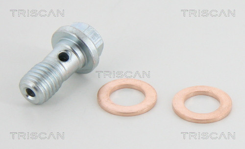 TRISCAN Bremsschlauch