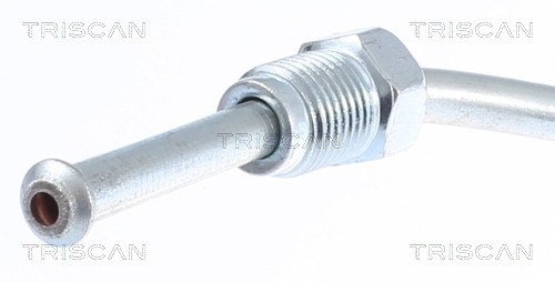 TRISCAN Bremsschlauch