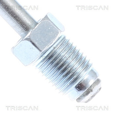 TRISCAN Bremsschlauch