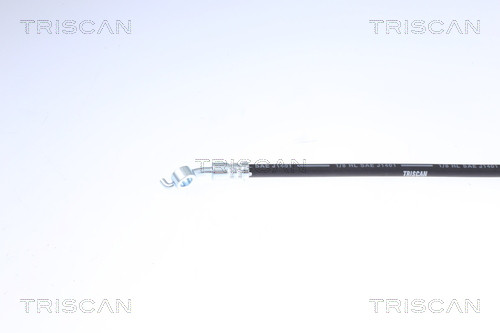 TRISCAN Bremsschlauch
