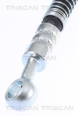 TRISCAN Bremsschlauch