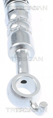 TRISCAN Bremsschlauch