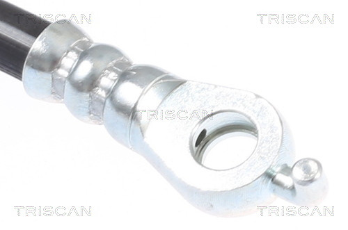 TRISCAN Bremsschlauch