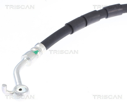 TRISCAN Bremsschlauch