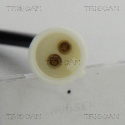TRISCAN Sensor, Raddrehzahl