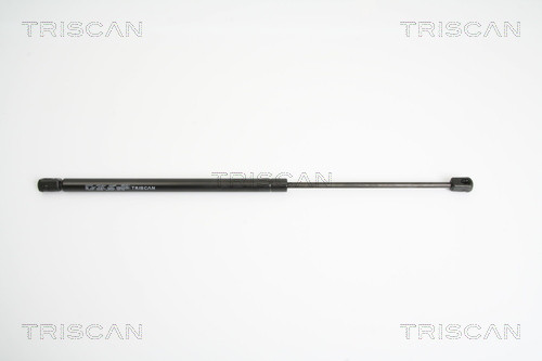 TRISCAN Gasfeder, Koffer-/Laderaum