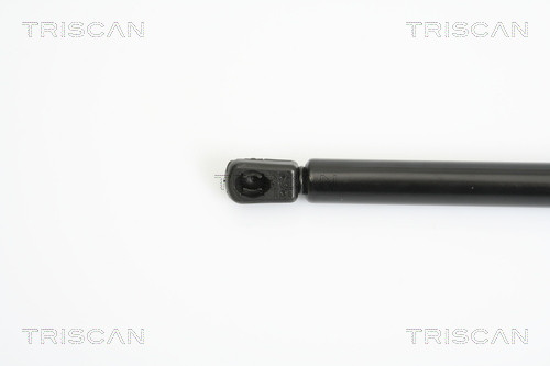 TRISCAN Gasfeder, Koffer-/Laderaum
