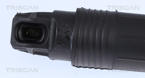 TRISCAN Gasfeder, Koffer-/Laderaum