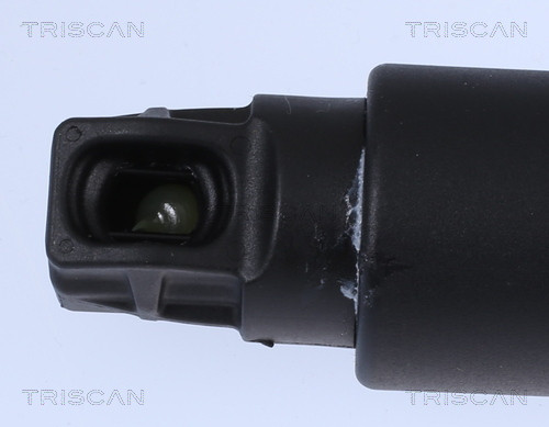 TRISCAN Gasfeder, Koffer-/Laderaum