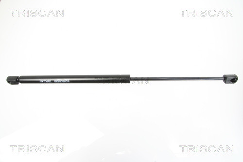 TRISCAN Gasfeder, Heckscheibe