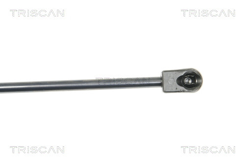 TRISCAN Gasfeder, Heckscheibe