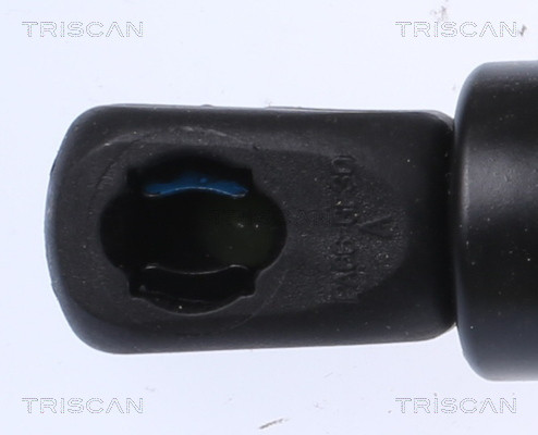 TRISCAN Gasfeder, Koffer-/Laderaum